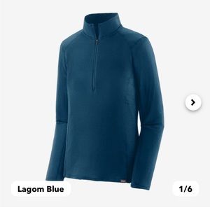 Patagonia Capilene Thermal Weight Baselayer
